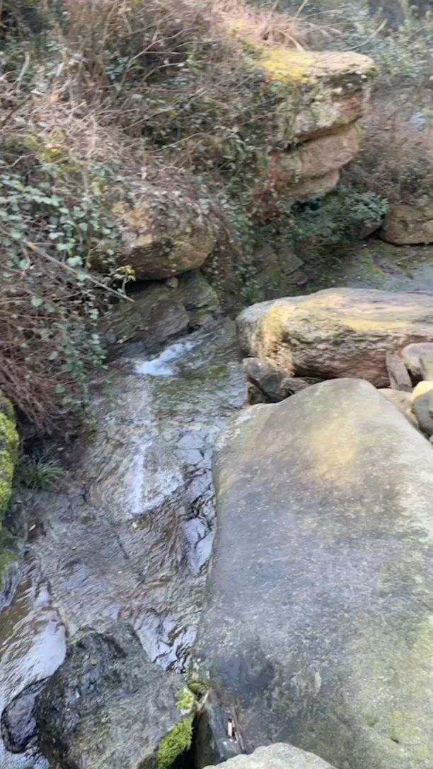 视频|广东宏远主场大胜北京北汽,周日将迎强敌